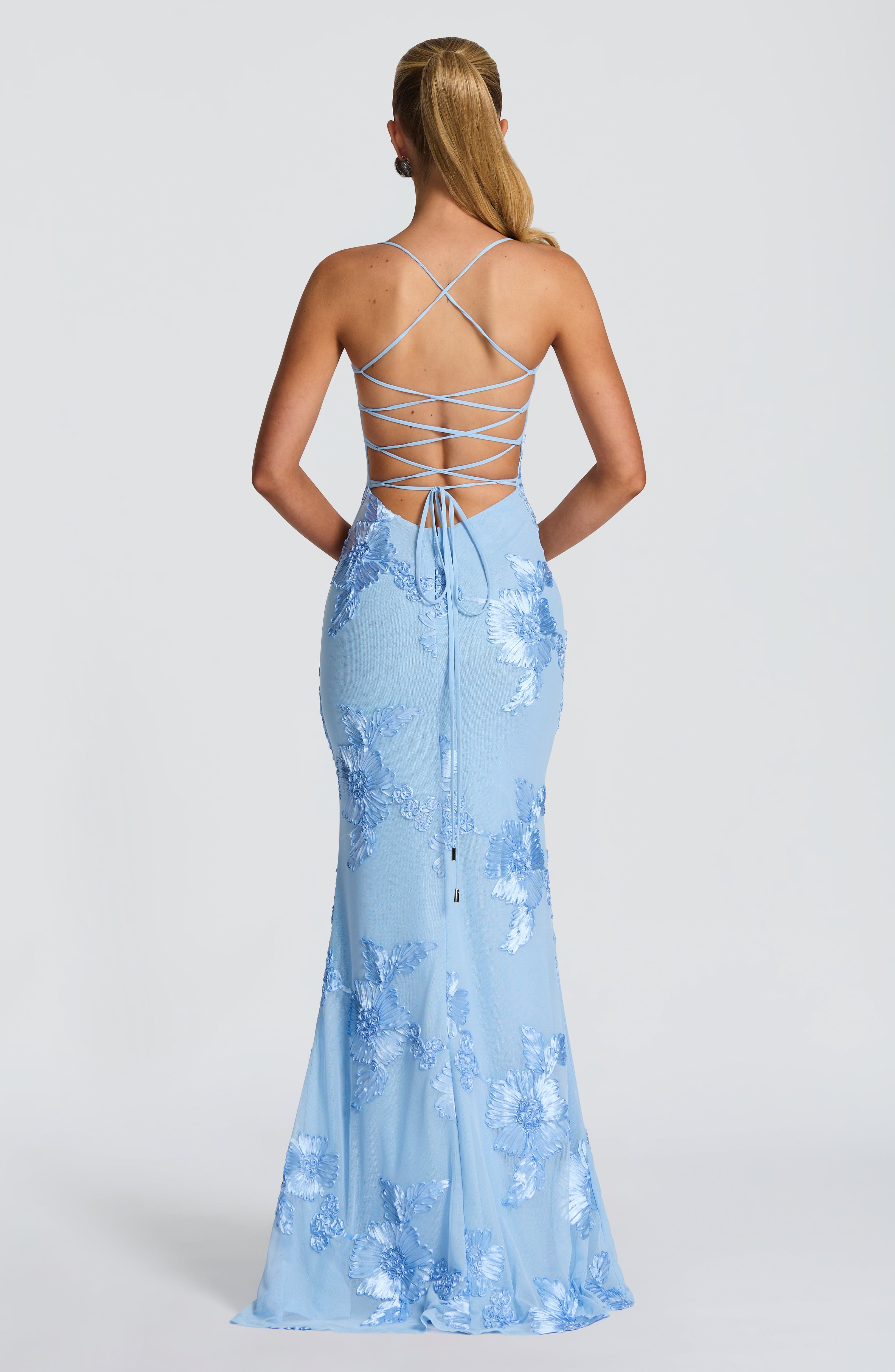 Celestine | Blue Mesh Floral Appliqué Corset Maxi Dress