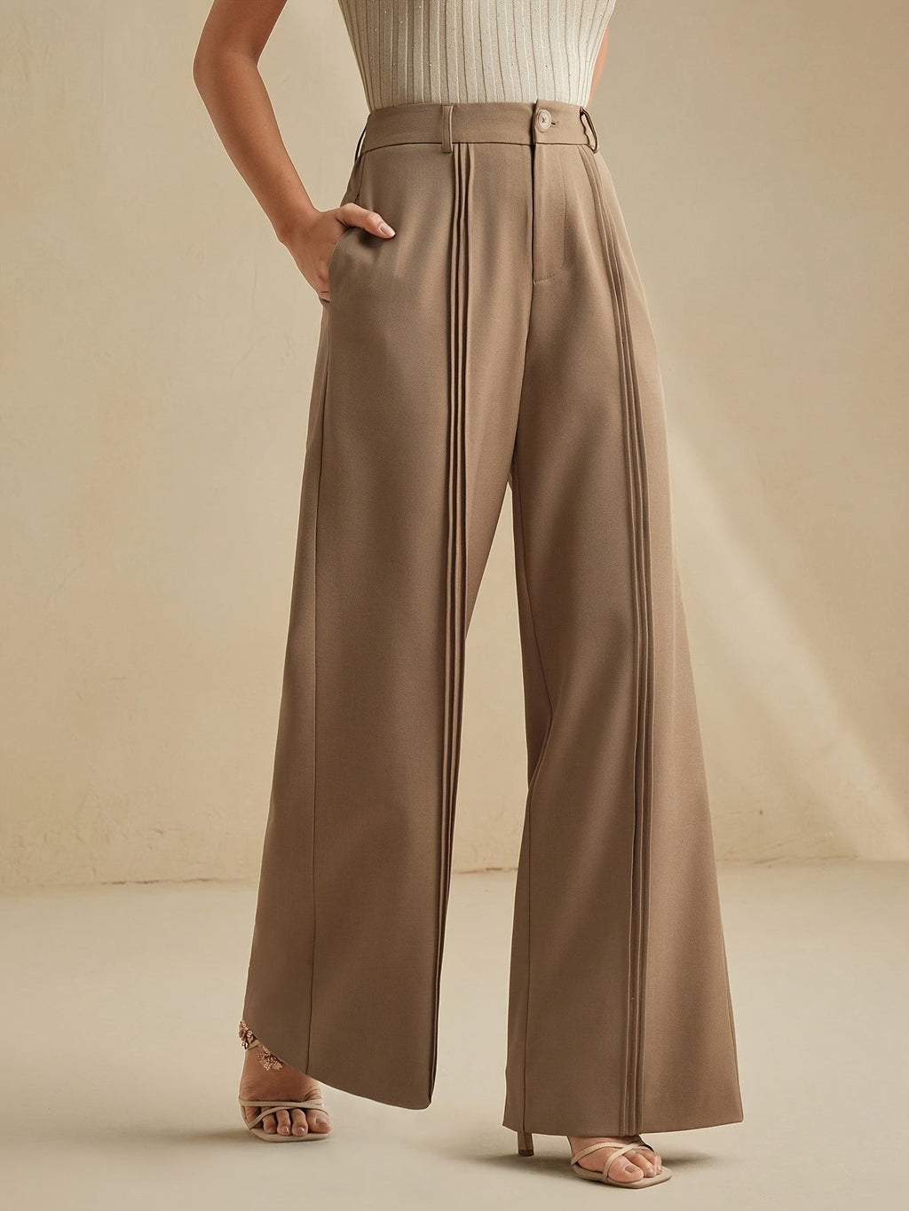 Antoinette pleated trousers - Brown back view